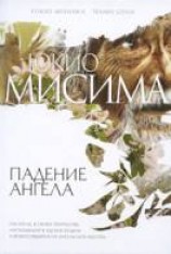читать Падение ангела