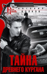 читать Тайна древнего кургана