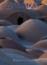 читать Дубликат