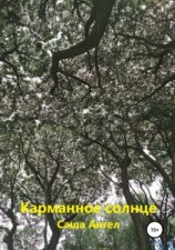 читать Карманное солнце