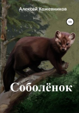 читать Соболёнок