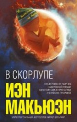 читать В скорлупе