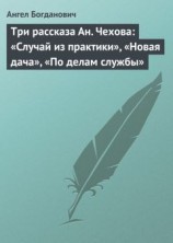 читать Три рассказа Ан. Чехова: «Случай из практики», «Новая дача», «По делам службы»