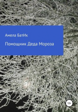 читать Помощник Деда Мороза