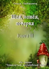 читать Шёл, нашёл, потерял. Книга III