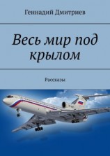читать Весь мир под крылом. Рассказы