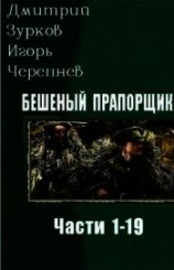 читать Бешеный прапорщик. Части 1-19