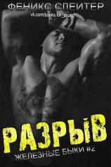 читать Разрыв