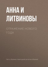 читать Отражение Нового года