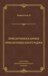 читать Приключения в Африке. Приключения юного раджи (сборник)