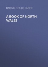 читать A Book of North Wales