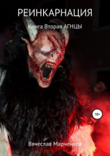 читать Реинкарнация. Книга вторая. Агнцы