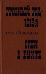 читать Грозный год - 1919-й. Огни в бухте