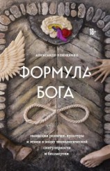 читать Формула Бога. Эволюция религии, культуры и этики в эпоху технологической сингулярности и бессмертия
