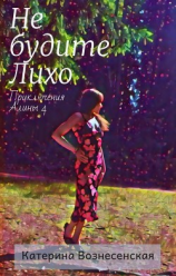 читать Не будите Лихо. Приключения Алины 4