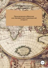 читать Путешествие в Мексику, или Неизвестная страница в её открытии