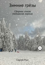 читать Зимние грезы