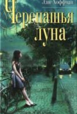 читать Черепашья луна