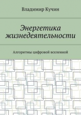 читать Энергетика жизнедеятельности. Алгоритмы цифровой вселенной
