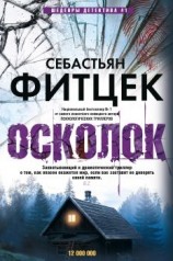 читать Осколок