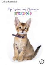 читать Приключения Арагора. Приозерье.