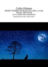 читать Short stories to read on a bus, a car, train, or plane (or a comfy chair anywhere). Includes the novella «Duck Creek»