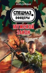 читать Мужской закон