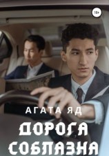 читать Дорога соблазна