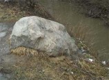 читать Рыбка в пруду