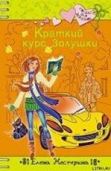 читать Краткий курс Золушки