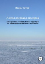читать У меня зазвонил телефон, или Практика «захода» бизнес-структуры на территорию своих бизнес-интересов