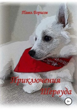 читать Приключения Шервуда