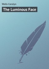 читать The Luminous Face
