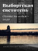читать Выборгская светотень