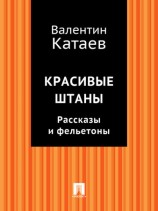 читать Красивые штаны. Рассказы и фельетоны (сборник)