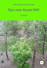читать Русь моя. Книга XXIII