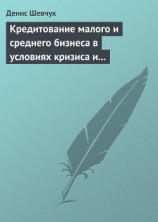 читать Кредитование малого и среднего бизнеса в условиях кризиса и финансовой нестабильности