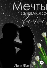 читать Мечты сбываются зимой