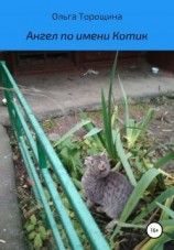 читать Ангел по имени Котик