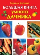 читать Большая книга умного дачника