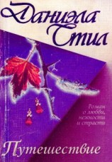 читать Путешествие
