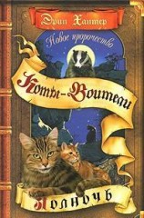 читать Новое пророчество. Книга 1. Полночь