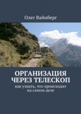 читать Организация через телескоп. Как узнать, что происходит на самом деле