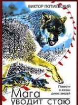 читать МАГА УВОДИТ СТАЮ