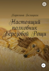 читать Настоящий полковник Березовой Рощи