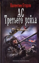 читать Ас Третьего рейха