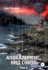 читать Апокалипсис, вид снизу. Том II
