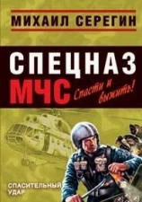 читать Спасительный удар