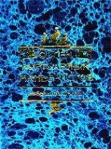 читать Орден куртуазных маньеристов (Сборник)