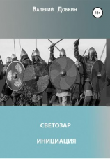 читать Светозар. Инициация